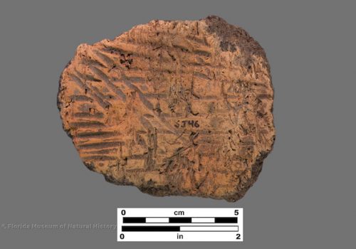 1 sherd with simple stamping over paste with visible linear voids