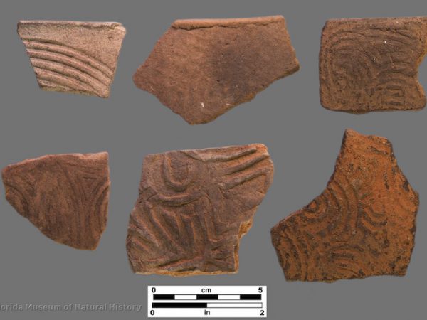 6 sherds with curvilinear complicated stamping