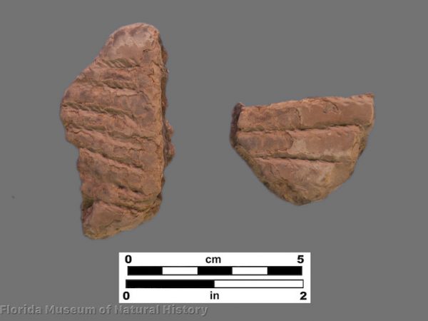 2 sherds with coarse cord parallel cord impressions