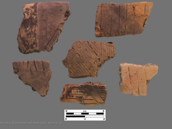 6 sherds withe fine incising or engraving