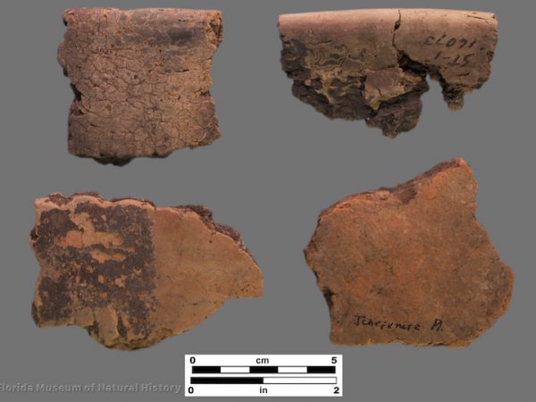 4 sherds of plain coarse pottery