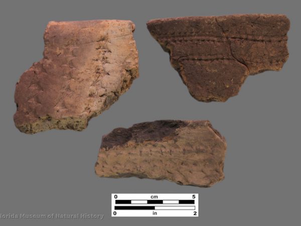 3 sherds of coarse pottery with linear stamping