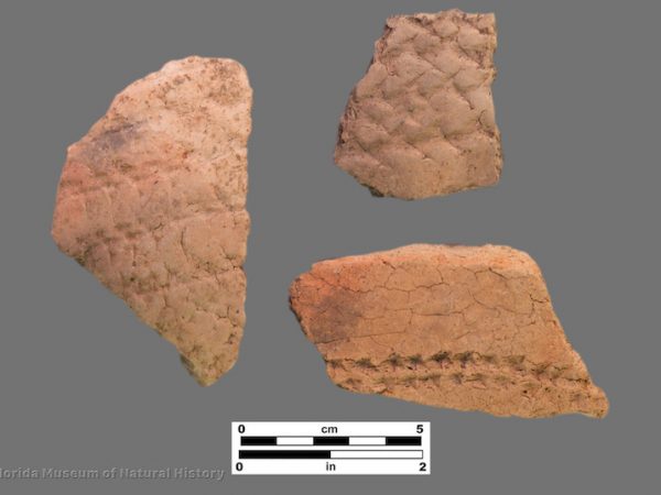 3 sherds of coarse pottery with linear stamping