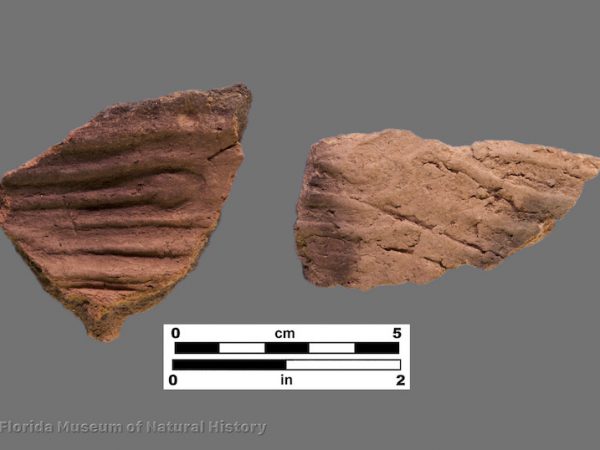 2 sherds with complicated stamping