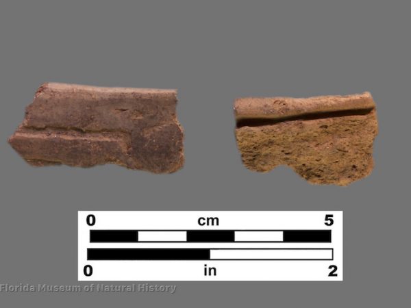 2 sherds with single incised line below rim