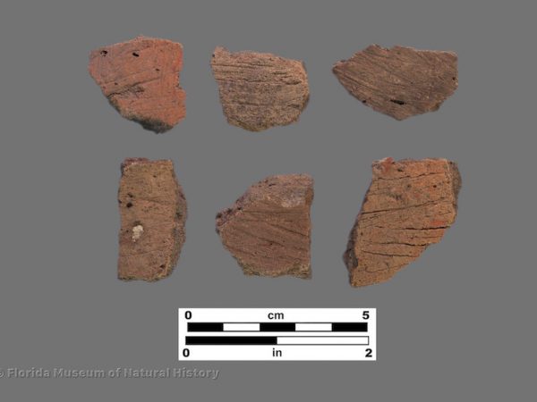 6 sherds with brushed surfaces