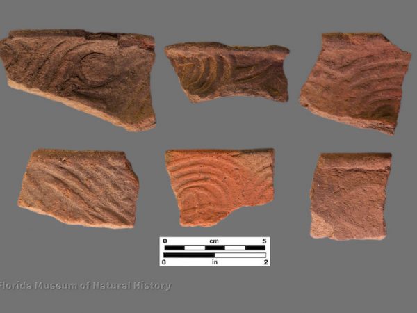 6 sherds with curvilinear complicated stamping