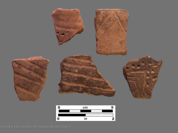 5 sherds with bold incising and punctations