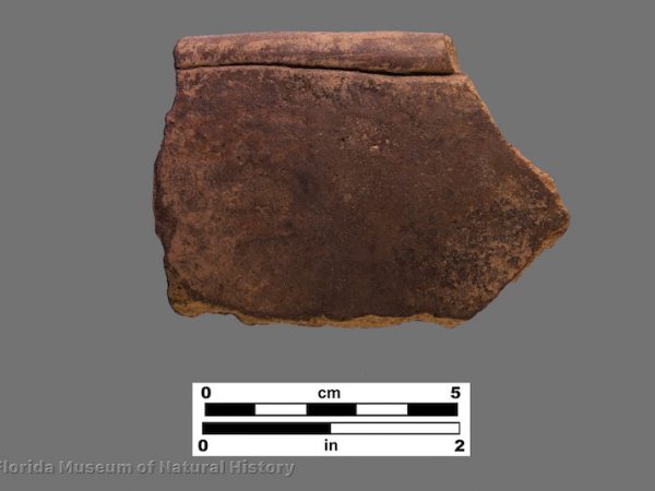 1 sherd with single incised line below rim