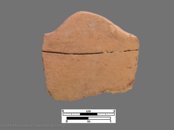 1 sherd with rim scallop
