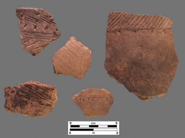 5 sherds with parallel line incising and punctations