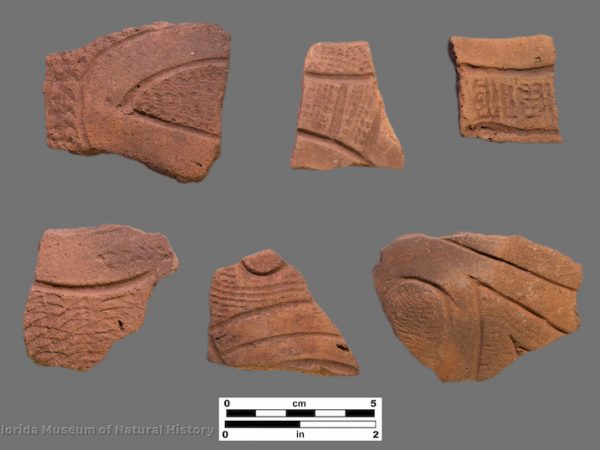 6 sherds of curvilinear incised pottery with stamped zones