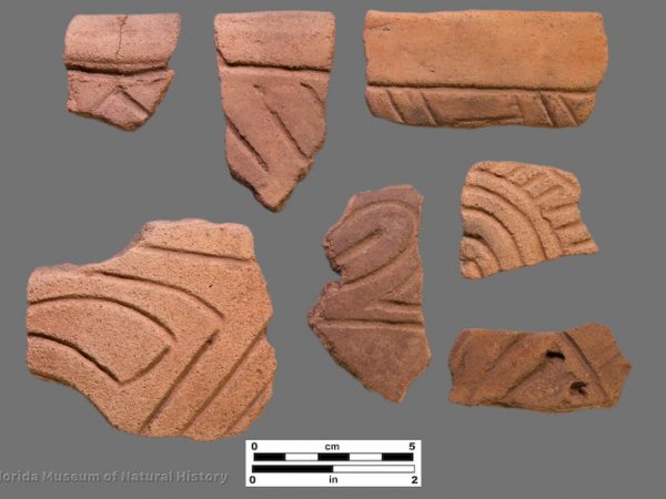 7 sherds of curvilinear incised potter