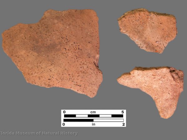 3 sherds of plain pottery