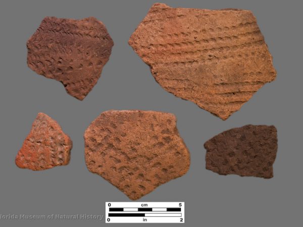 5 sherds with linear stamped bands