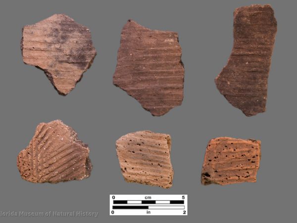 6 sherds with linear stamping