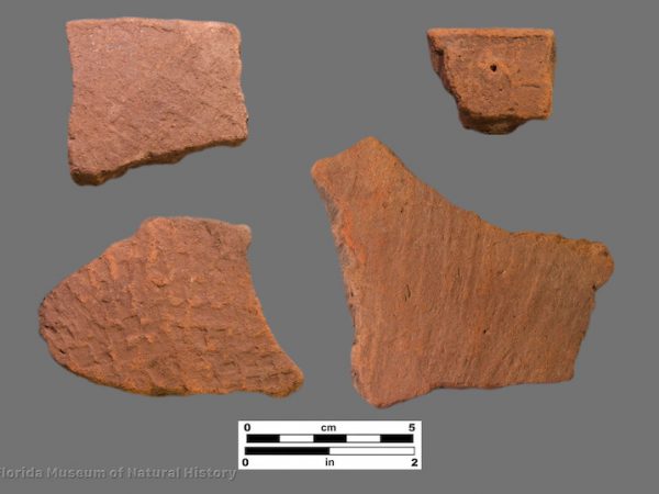4 sherds with check stamping