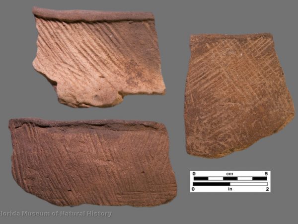 3 sherds with fine stamped parallel lines