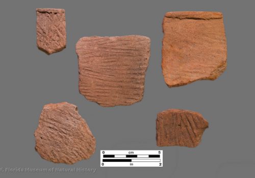 5 sherds with stamped parallel lines