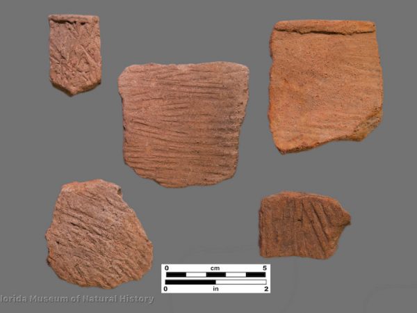 5 sherds with stamped parallel lines