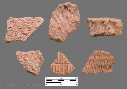6 sherds with deep and clear fabric impressions