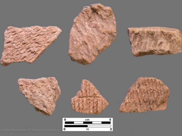 6 sherds with deep and clear fabric impressions