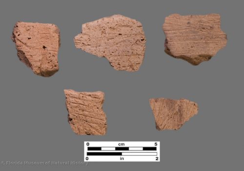 5 sherds with fine brushing
