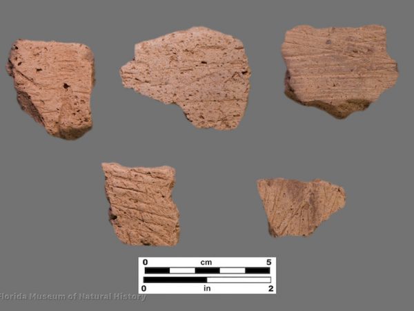 5 sherds with fine brushing