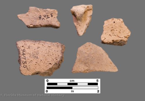 5 sherds of pottery with shell voids