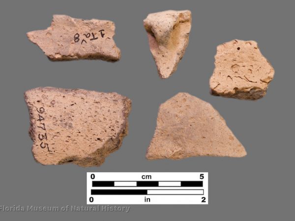 5 sherds of pottery with shell voids