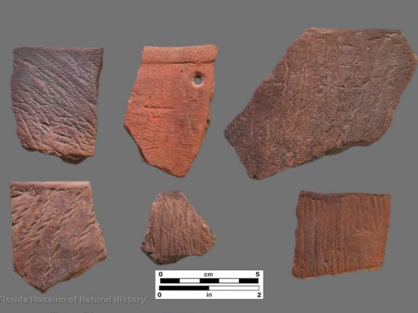 6 sherds with cord marking
