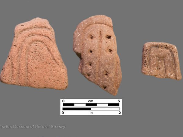 2 body sherds and a lug handle with curvilinear incisions