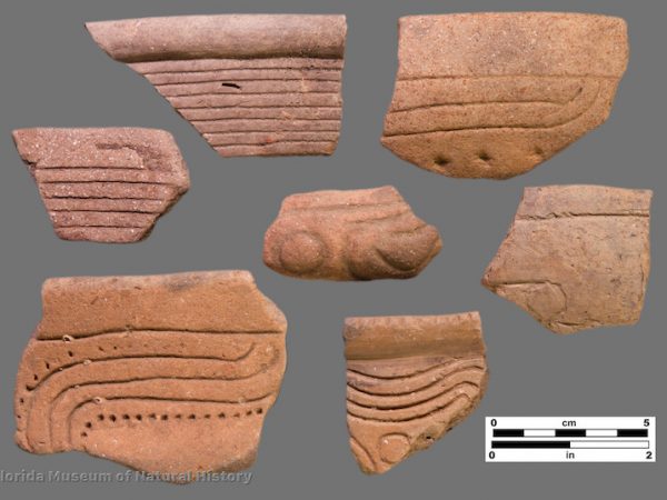 7 sherds with straight and curvilinear incisions