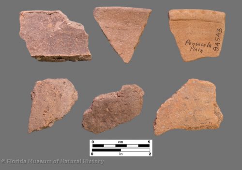 6 sherds of shell tempered pottery