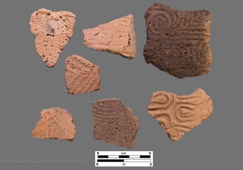 7 sherds of shell tempered pottery with complicated stamping