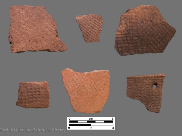 6 sherds with check stamping