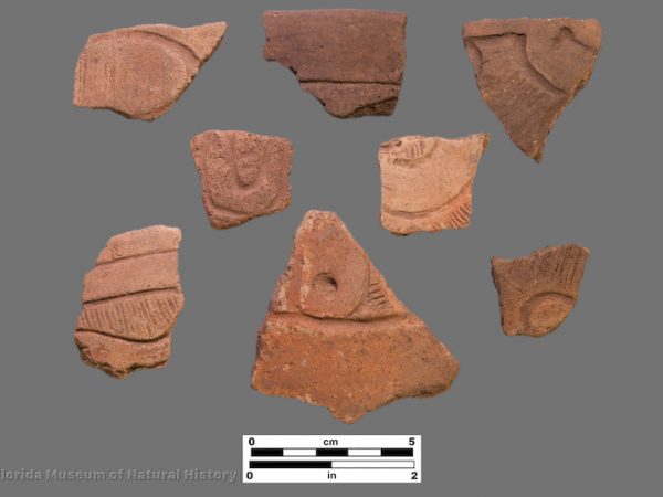 8 sherds with curvilinear designs filled with fine lines