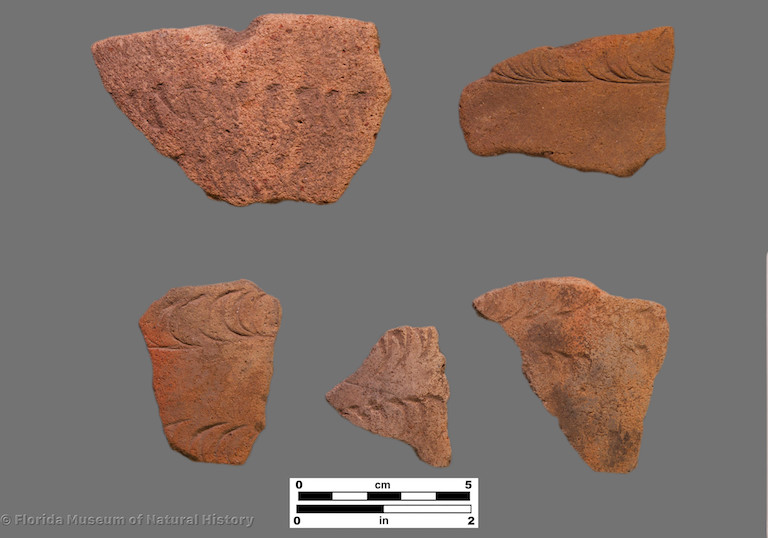 5 sherds with rocker stamping