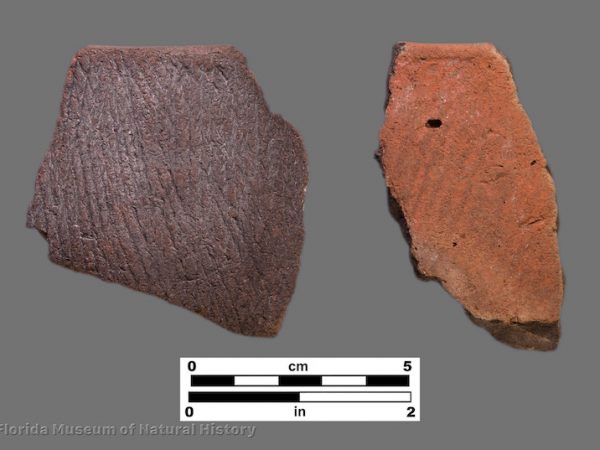 2 sherds with fine cord marking