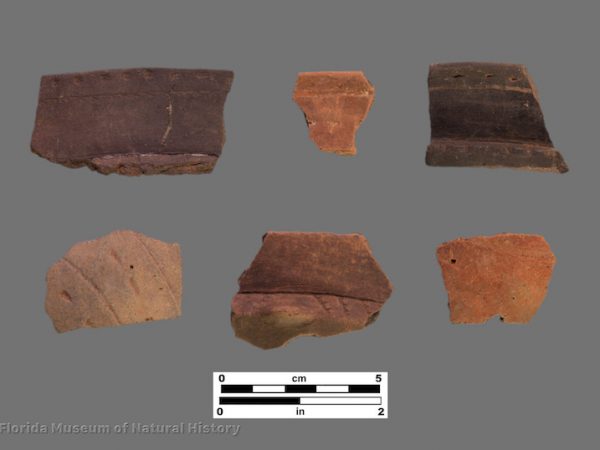 6 sherds with very fine engraving and punctation
