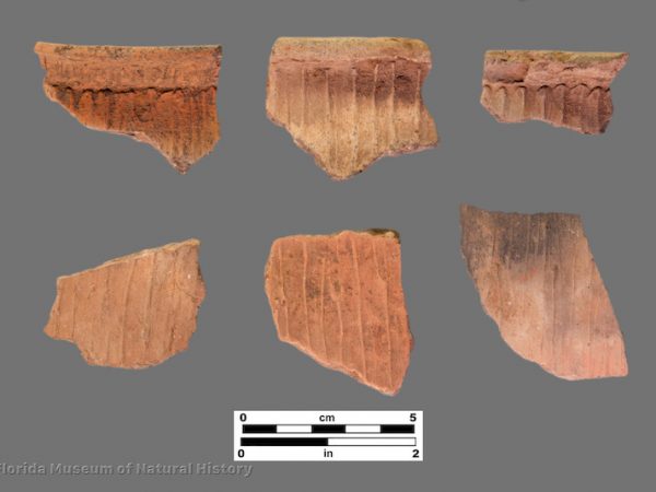 6 sherds with perpendicular shallow grooves and ridges