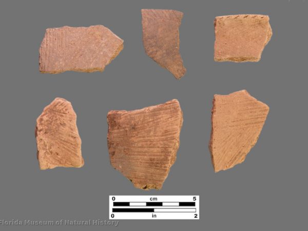6 sherds with fine brushed surface