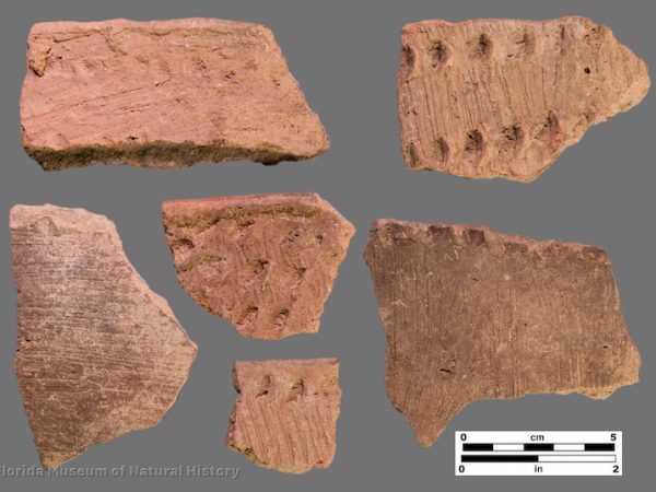 6 sherds with fine brushing and fingernail impressions