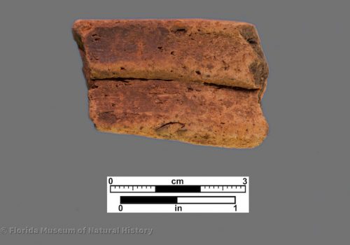 1 sherd with corrugated rim