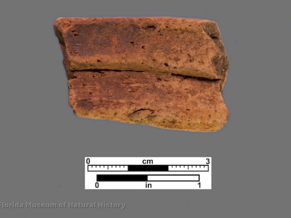 1 sherd with corrugated rim