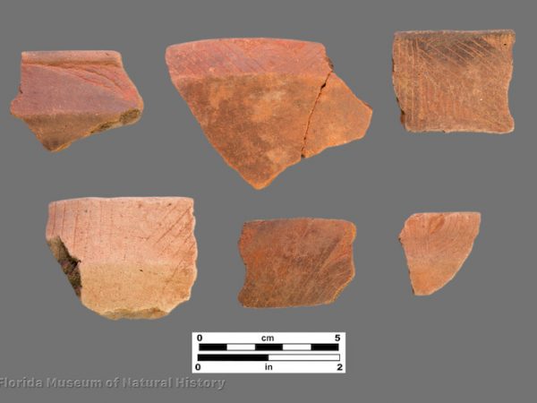 6 sherds with very fine angled and curvilinear engraving