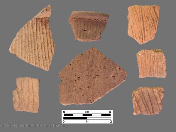 7 sherds of pottery with linear incised or brushed surfaces