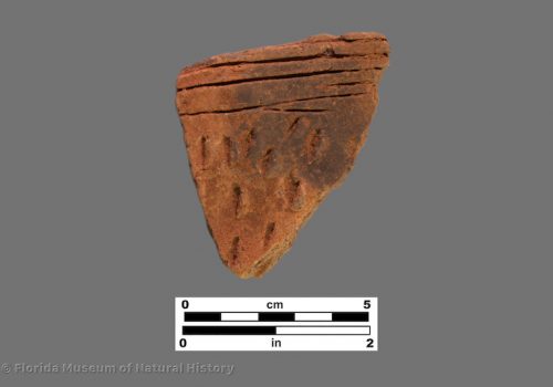 1 sherd with sharp incised bands and fingernail impressions