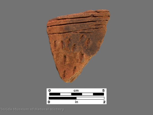 1 sherd with sharp incised bands and fingernail impressions