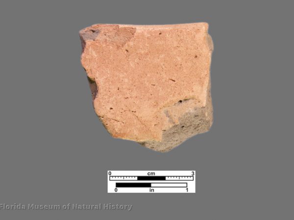 1 rim sherd with plain surface